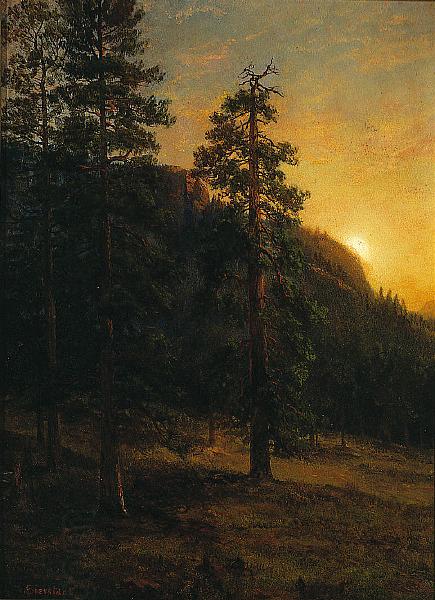 Albert Bierstadt California Redwoods oil painting picture